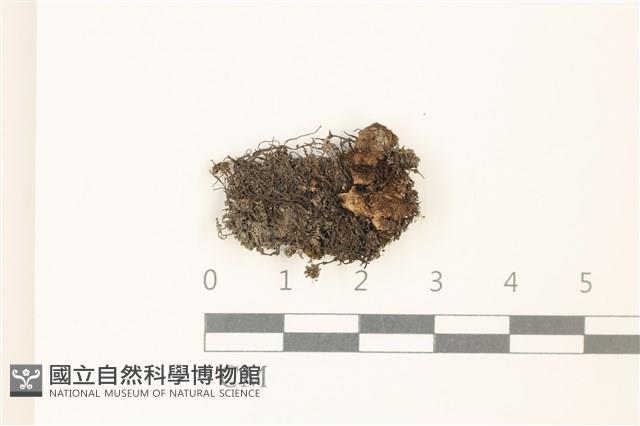 登錄號:B00020213藏品圖，第1張
