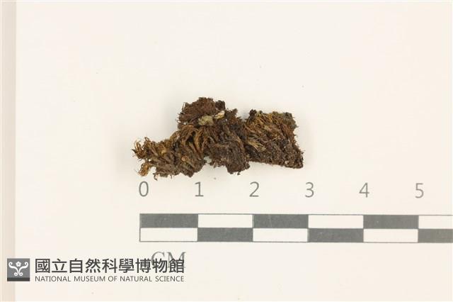 登錄號:B00008913藏品圖，第1張