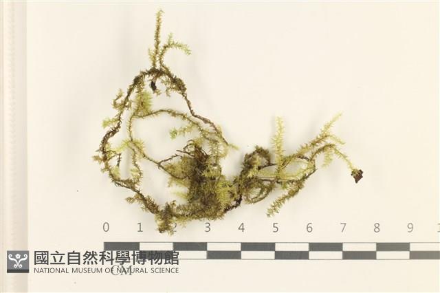 登錄號:B00015813藏品圖，第1張