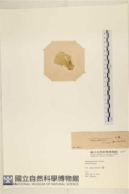 登錄號:A00003813藏品圖，第3張