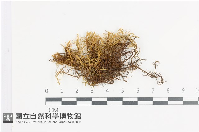登錄號:B00015093藏品圖，第1張