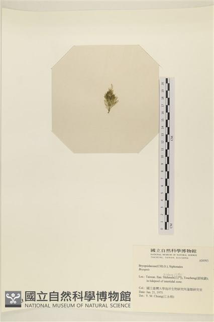 登錄號:A00004993藏品圖，第3張