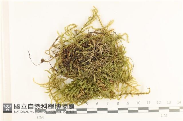 登錄號:B00011993藏品圖，第1張