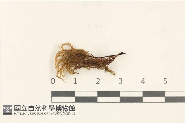 登錄號:B00015893藏品圖，第1張