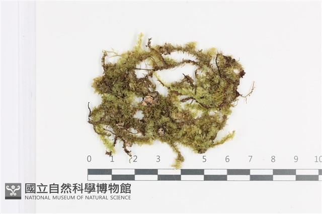 登錄號:B00011393藏品圖，第1張