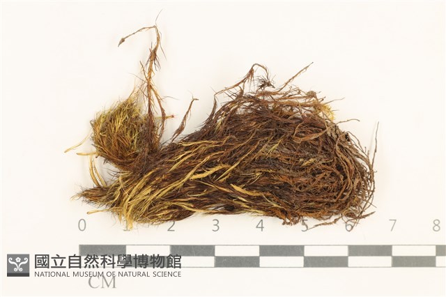 登錄號:B00010143藏品圖，第1張