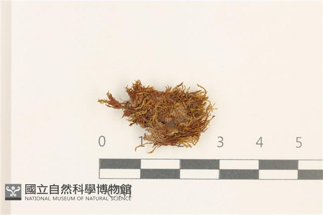 登錄號:B00017943藏品圖，第1張