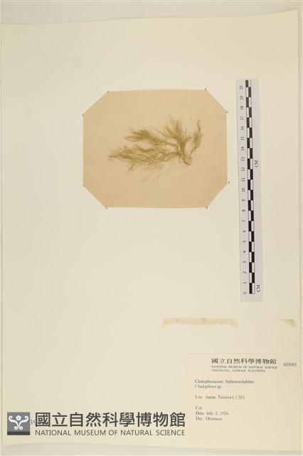 登錄號:A00003943藏品圖，第3張