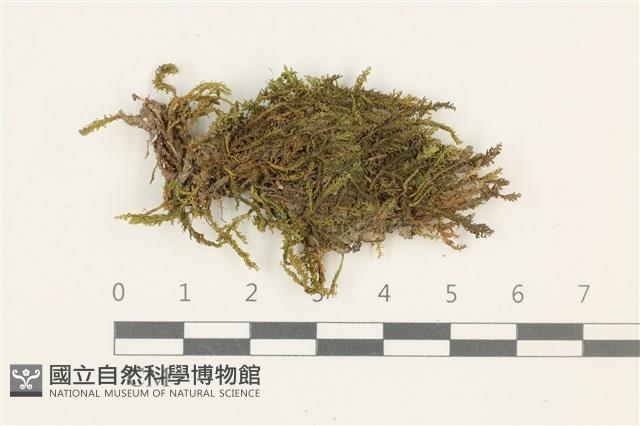 登錄號:B00002263藏品圖，第1張