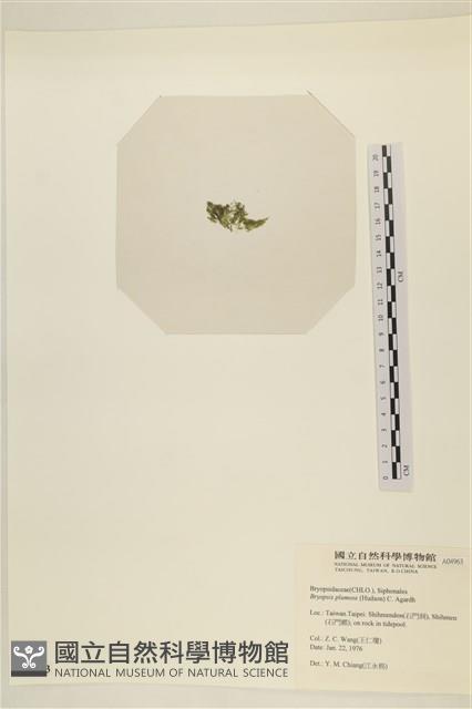 登錄號:A00004963藏品圖，第3張