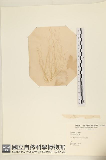 登錄號:A00003863藏品圖，第1張