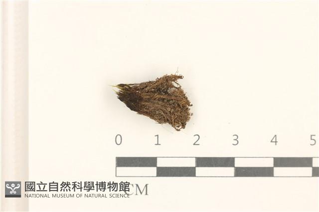 登錄號:B00012003藏品圖，第1張