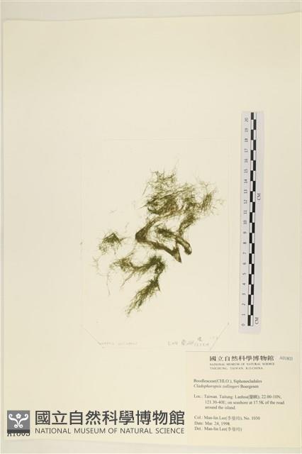 登錄號:A00001803藏品圖，第1張