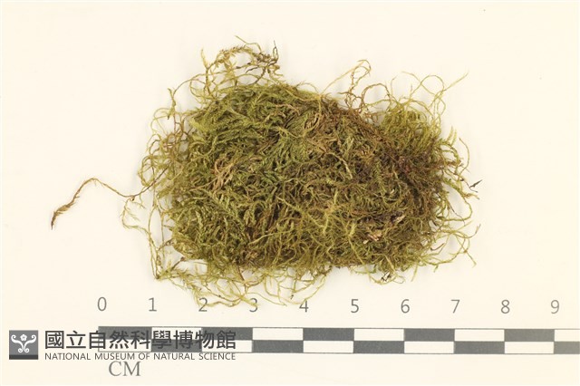 登錄號:B00005283藏品圖，第1張