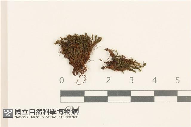 Accession Number:B00014083 Collection Image, Figure 1, Total 2 Figures