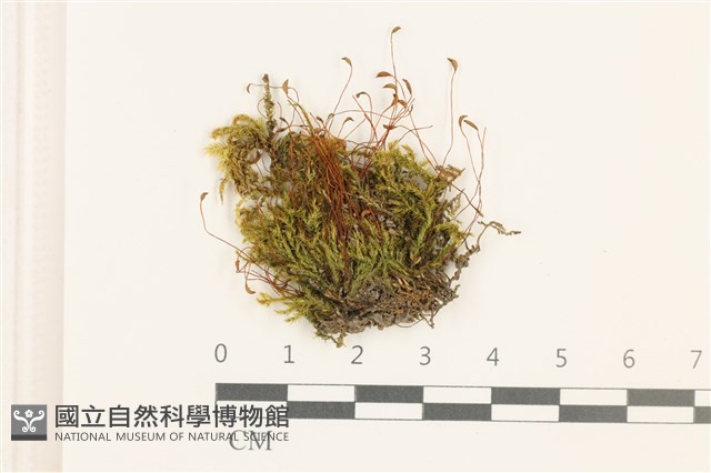Accession Number:B00005983 Collection Image, Figure 1, Total 2 Figures