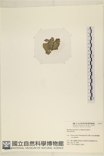 登錄號:A00002883藏品圖，第3張