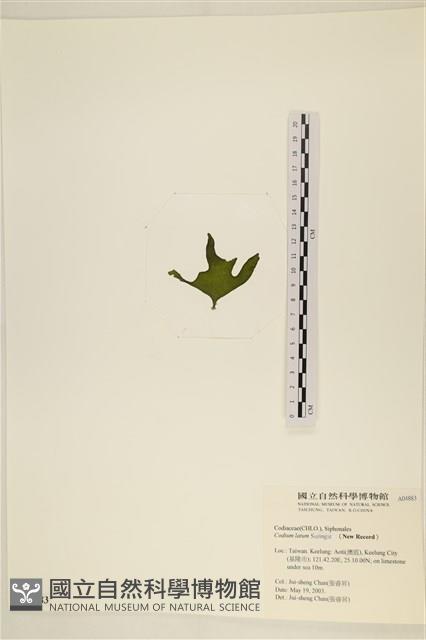 登錄號:A00004883藏品圖，第3張