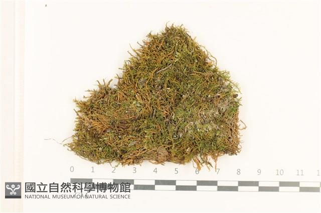 登錄號:B00012383藏品圖，第1張