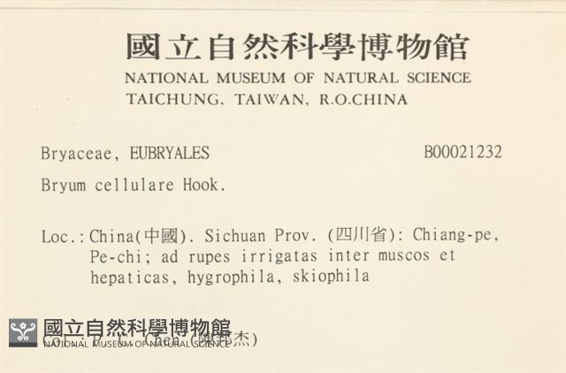 登錄號:B00021232藏品圖，第2張