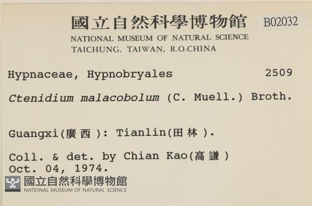 登錄號:B00002032藏品圖，第2張