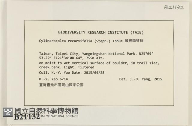 登錄號:B00021132藏品圖，第2張
