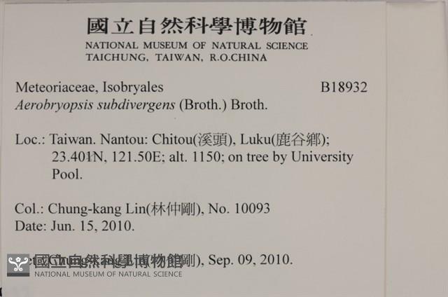 大灰氣蘚藏品圖，第2張