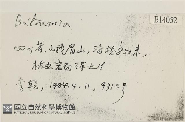 登錄號:B00014052藏品圖，第2張