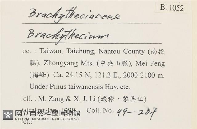 登錄號:B00011052藏品圖，第2張