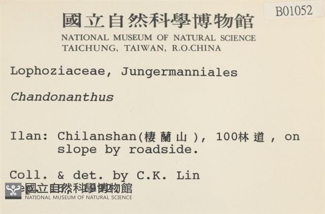 登錄號:B00001052藏品圖，第2張