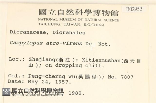 登錄號:B00002952藏品圖，第2張