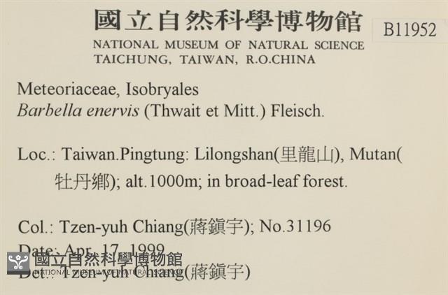 登錄號:B00011952藏品圖，第2張