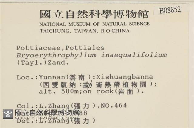 登錄號:B00008852藏品圖，第2張