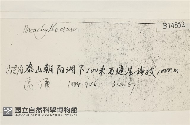 登錄號:B00014852藏品圖，第2張