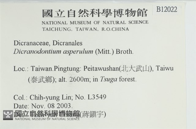 粗毛青毛蘚藏品圖，第2張