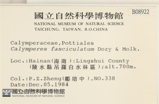 劍葉花葉蘚藏品圖，第2張