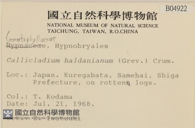 腐木蘚藏品圖，第2張