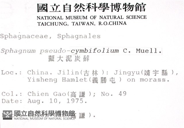 擬大泥炭蘚藏品圖，第2張