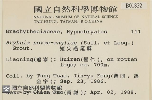 燕尾蘚藏品圖，第2張