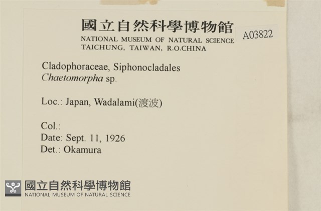 登錄號:A00003822藏品圖，第2張