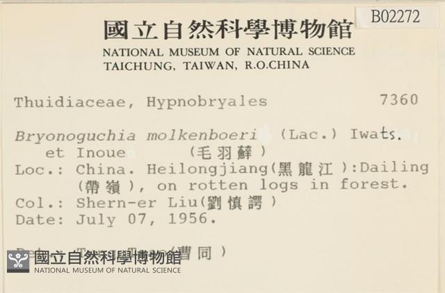 毛羽蘚藏品圖，第2張