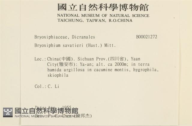 登錄號:B00021272藏品圖，第2張