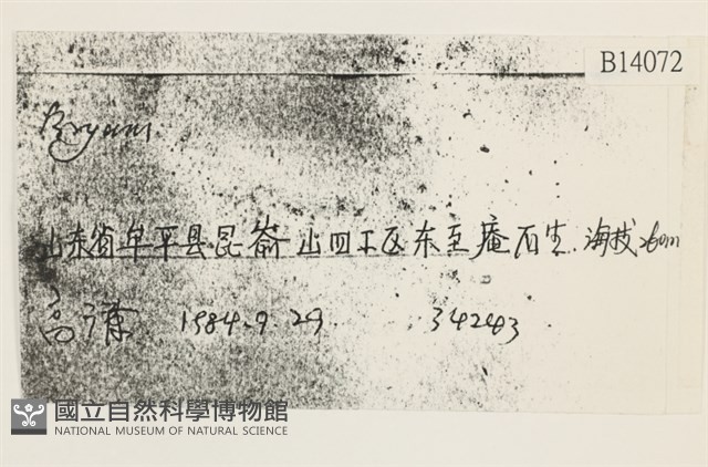 登錄號:B00014072藏品圖，第2張