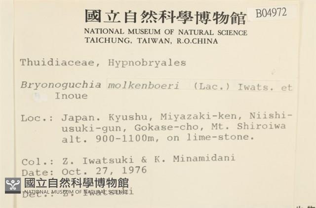 毛羽蘚藏品圖，第2張