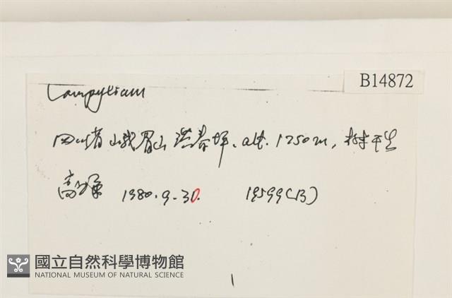 登錄號:B00014872藏品圖，第2張