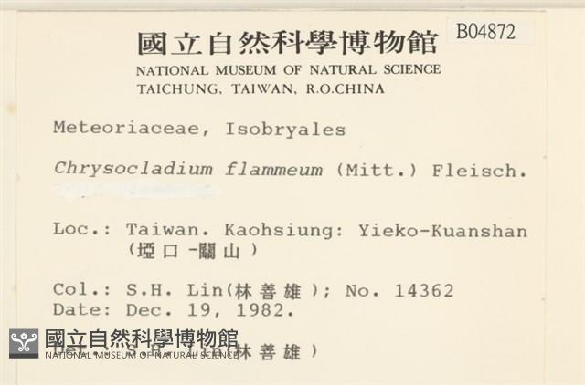 登錄號:B00004872藏品圖，第2張