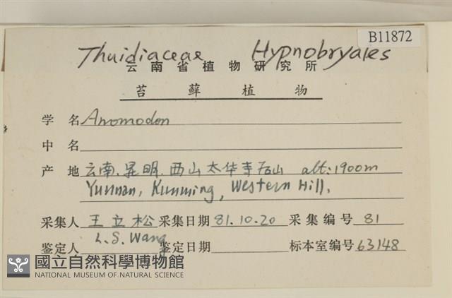 登錄號:B00011872藏品圖，第2張