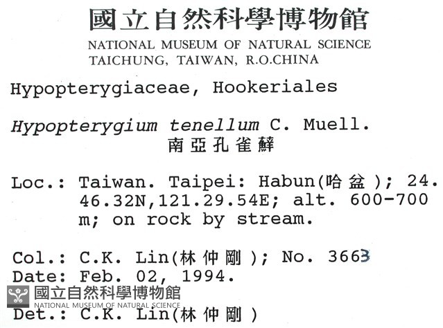 南亞孔雀蘚藏品圖，第2張