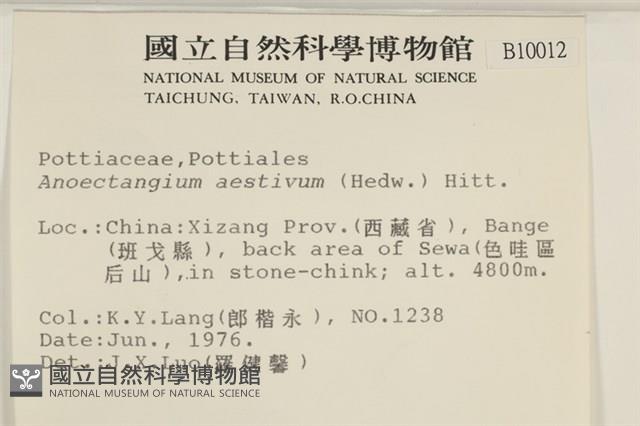 登錄號:B00010012藏品圖，第2張