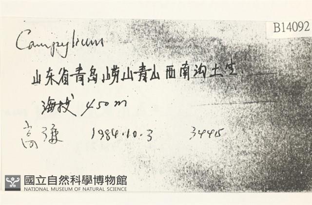 登錄號:B00014092藏品圖，第2張